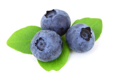 2,000+ Free Blueberries & Blueberry Images .